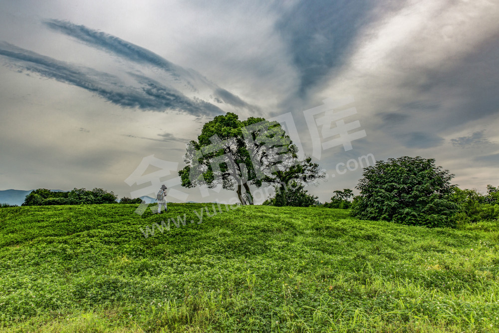 《走进&ldquo;良渚古国&rdquo;》