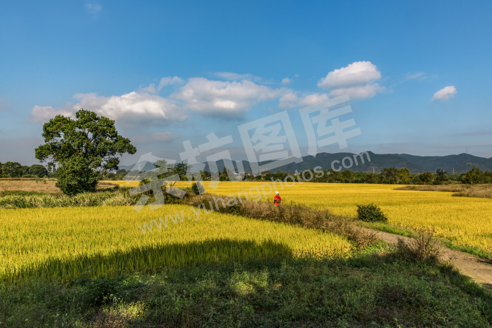 《走进&ldquo;良渚古国&rdquo;》