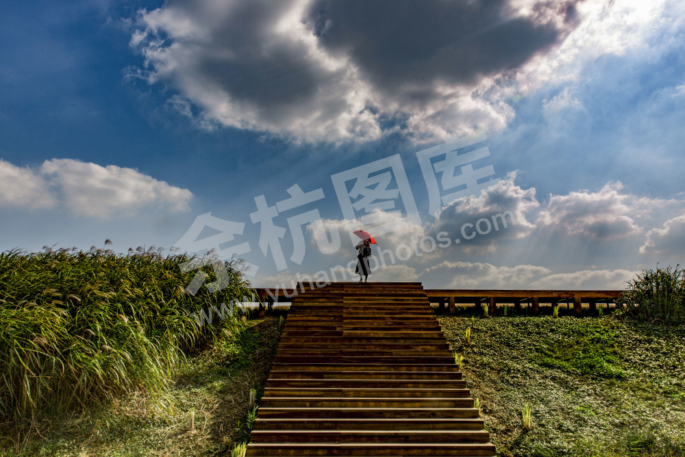 《走进&ldquo;良渚古国&rdquo;》