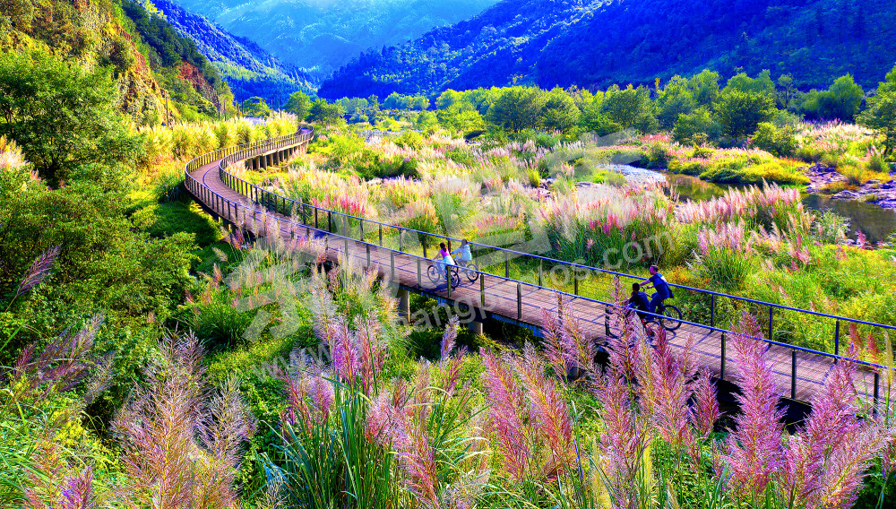 《最美生态绿道》