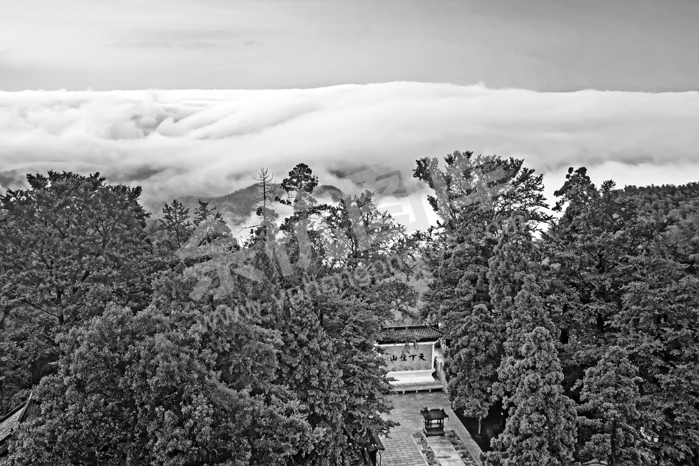 径山云海