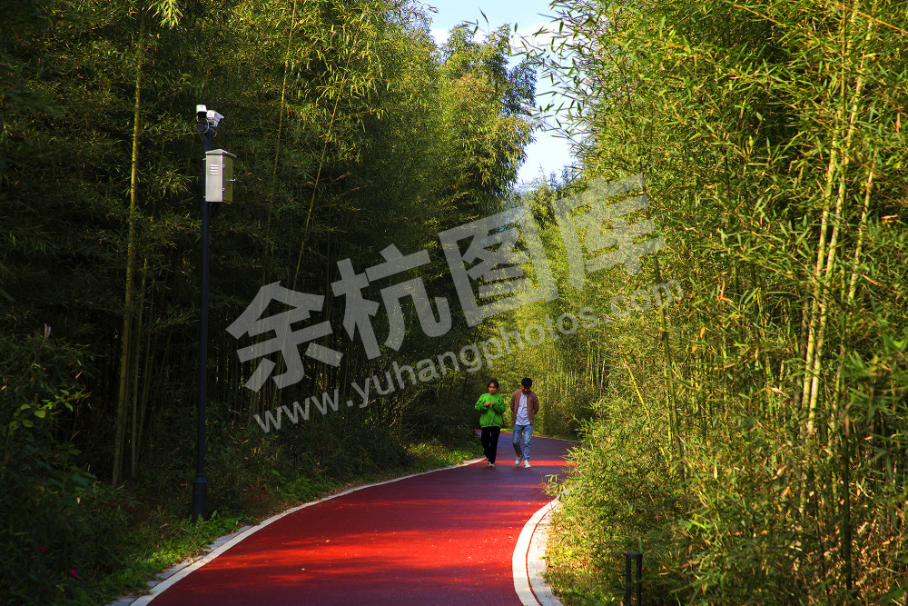 《绿色生态大径山绿道》