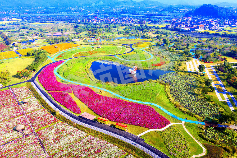 《花香四溢千花里》