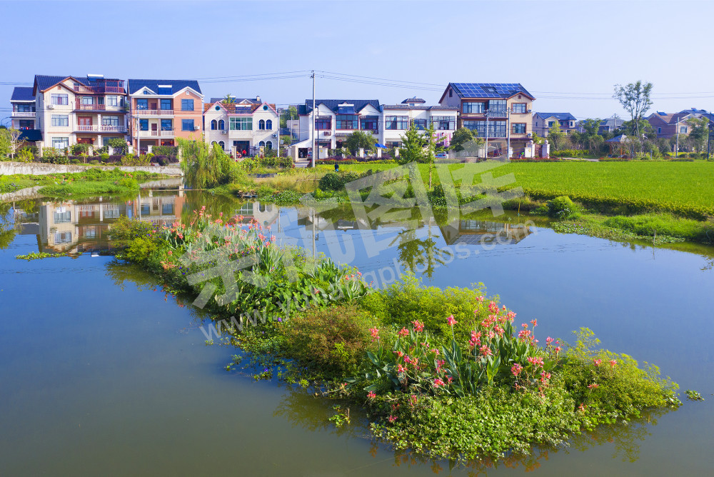 《小微水体见成效》