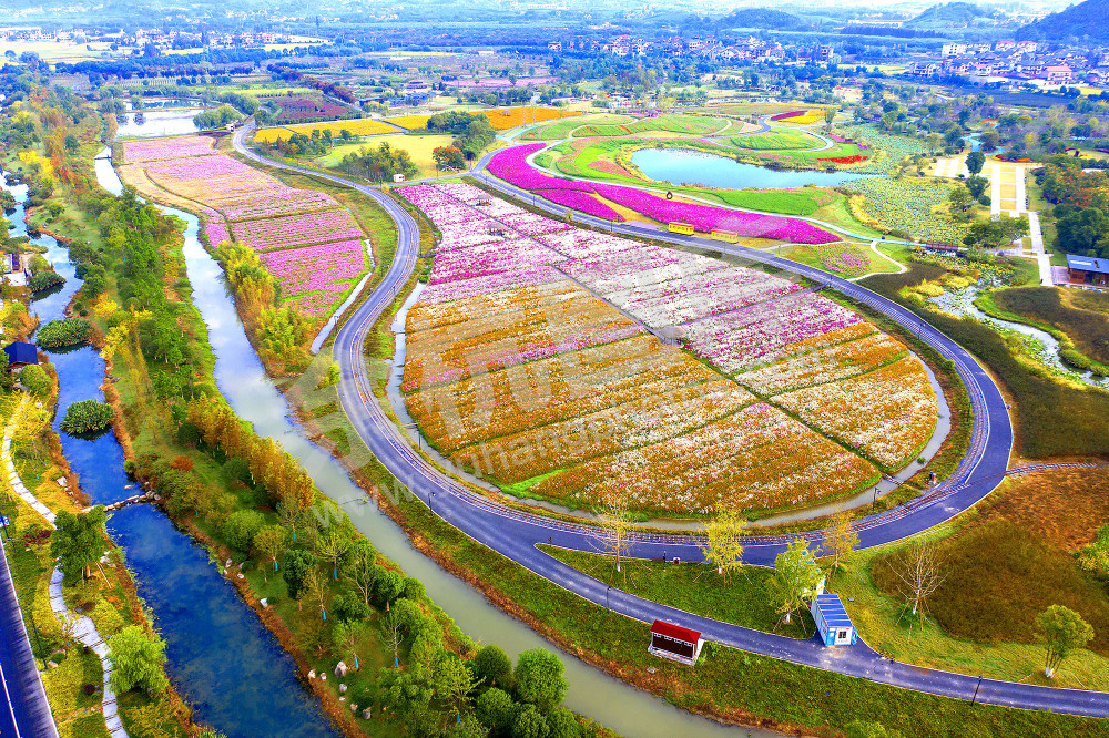 《花香四溢千花里》
