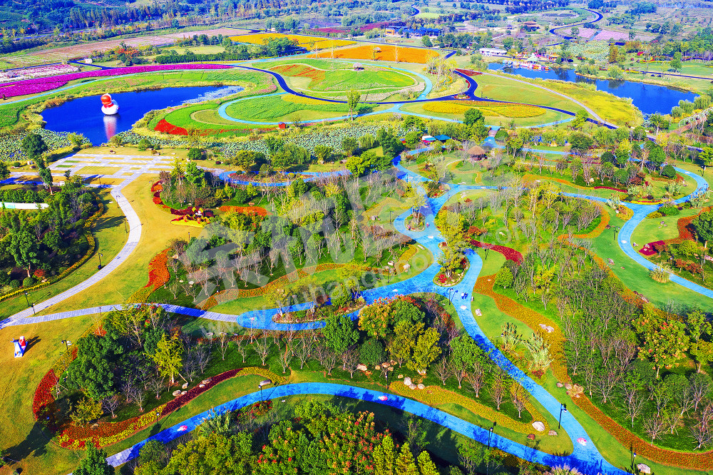 《花香四溢千花里》