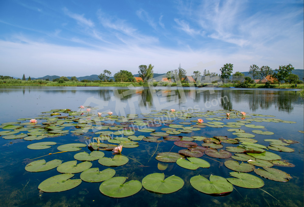 《5000年不变的天空》