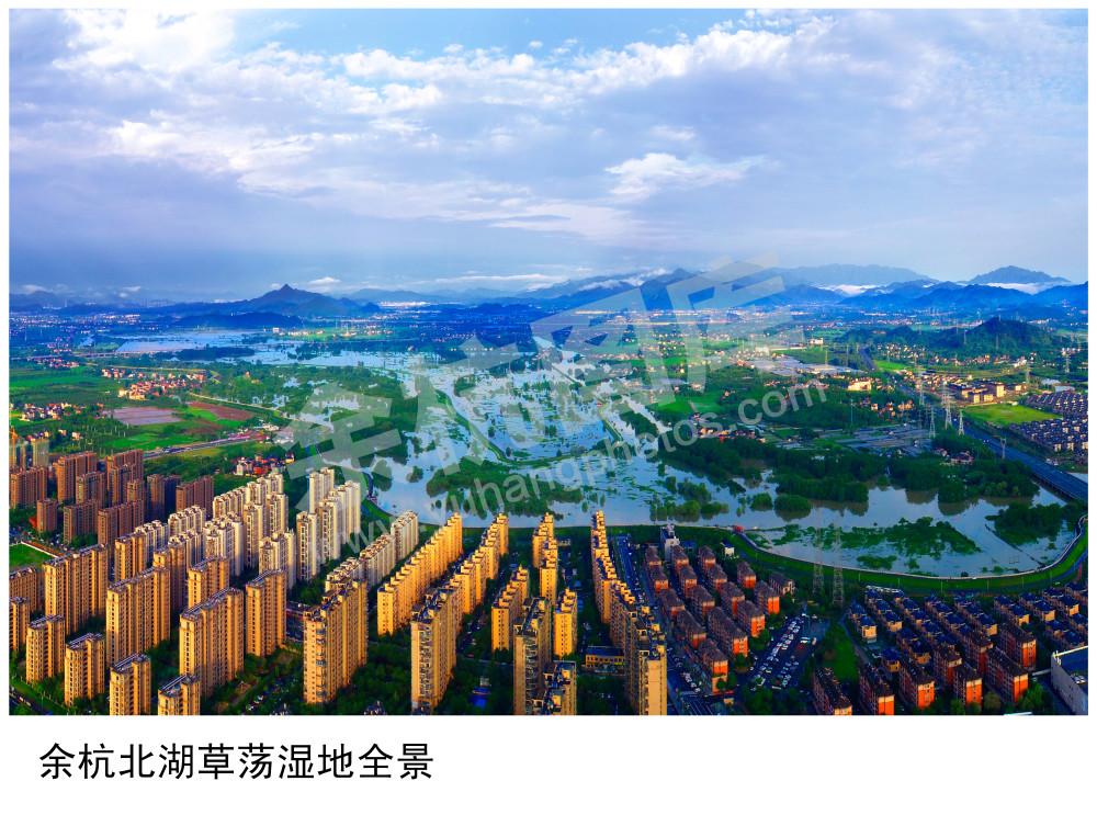 余杭北湖草荡湿地全景