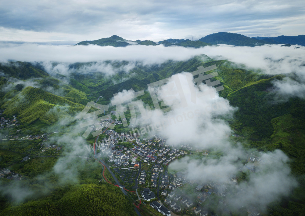 《绿色禅茶村》