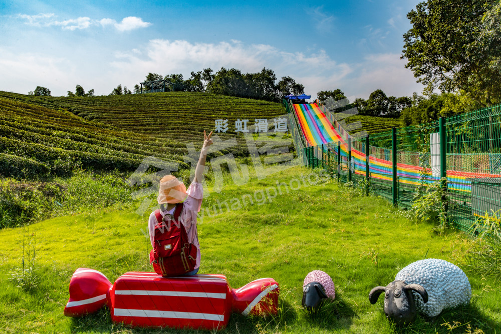 《彩虹道我来了》