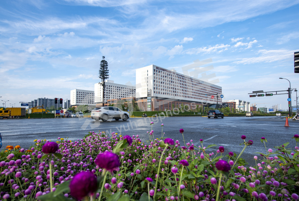 未来科技城 &middot; 浙江大学医学院附属一医院 