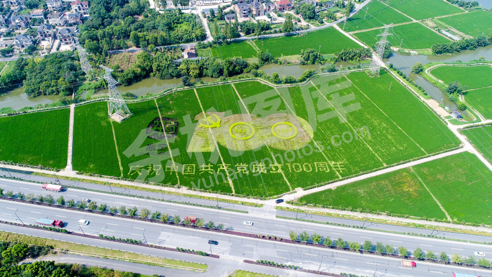 瓶窑镇庆祝建党百年彩色稻田