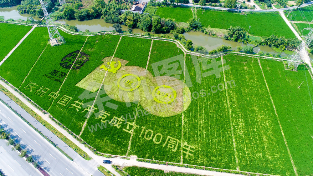 瓶窑镇庆祝建党百年彩色稻田