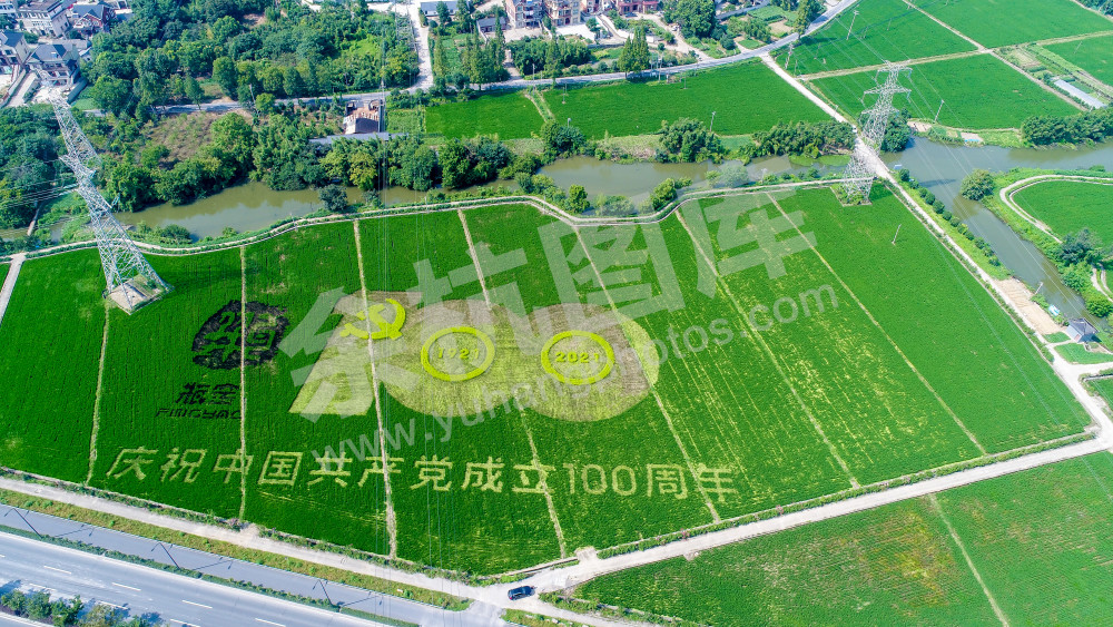 瓶窑镇庆祝建党百年彩色稻田