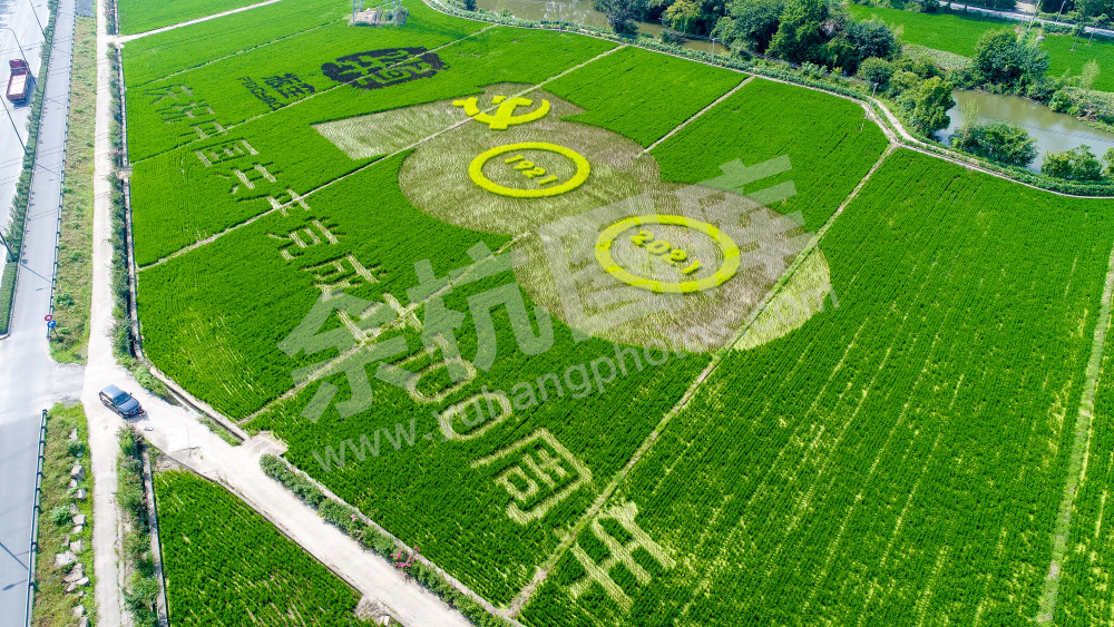 瓶窑镇庆祝建党百年彩色稻田