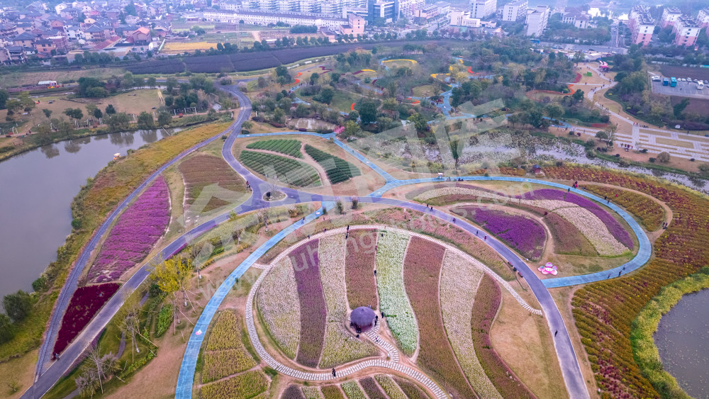 鸟瞰花海
