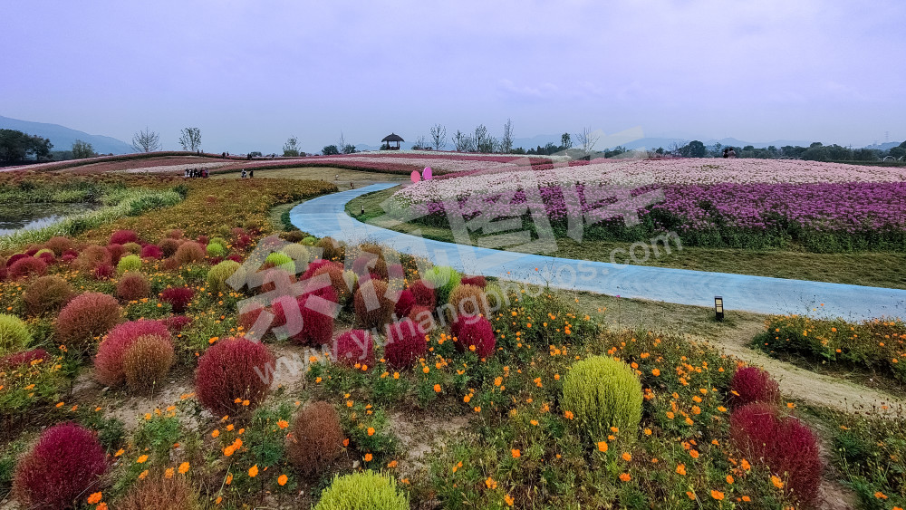 绚丽多彩