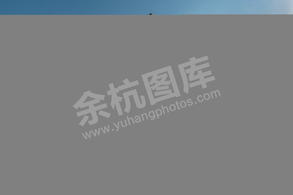 《田间地头庆丰收》