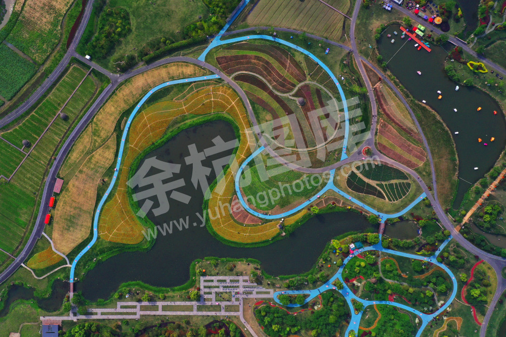 七彩径山  浪漫花海