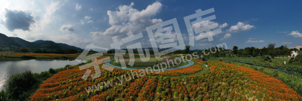 乡村公园  乐漫花海