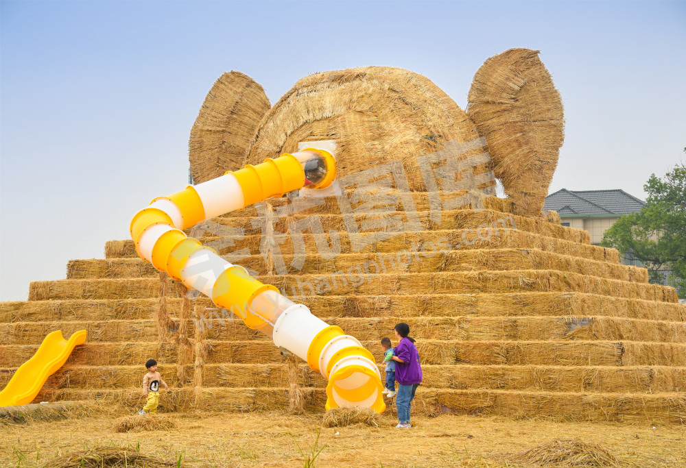 《稻田艺起来》