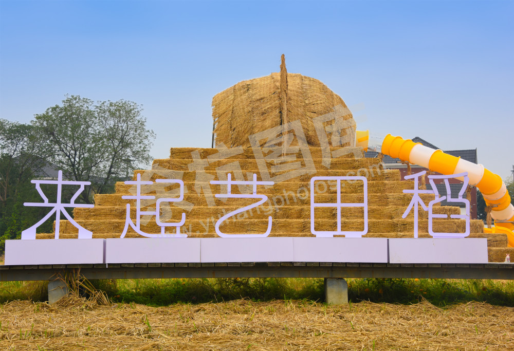 《稻田艺起来》