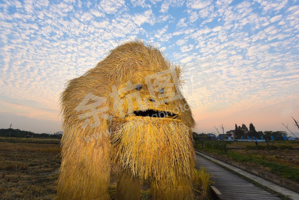 《稻田艺起来》