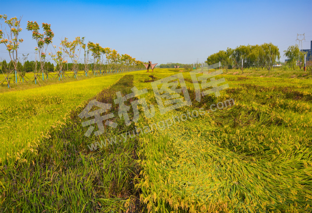 《智荟动力公园》