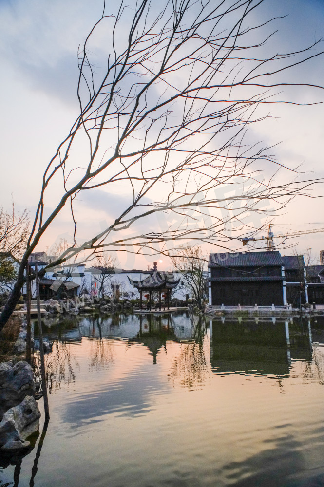 《闲居林下&mdash;老街新景》