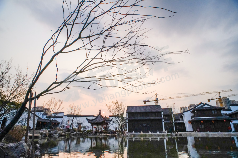 《闲居林下&mdash;老街新景》