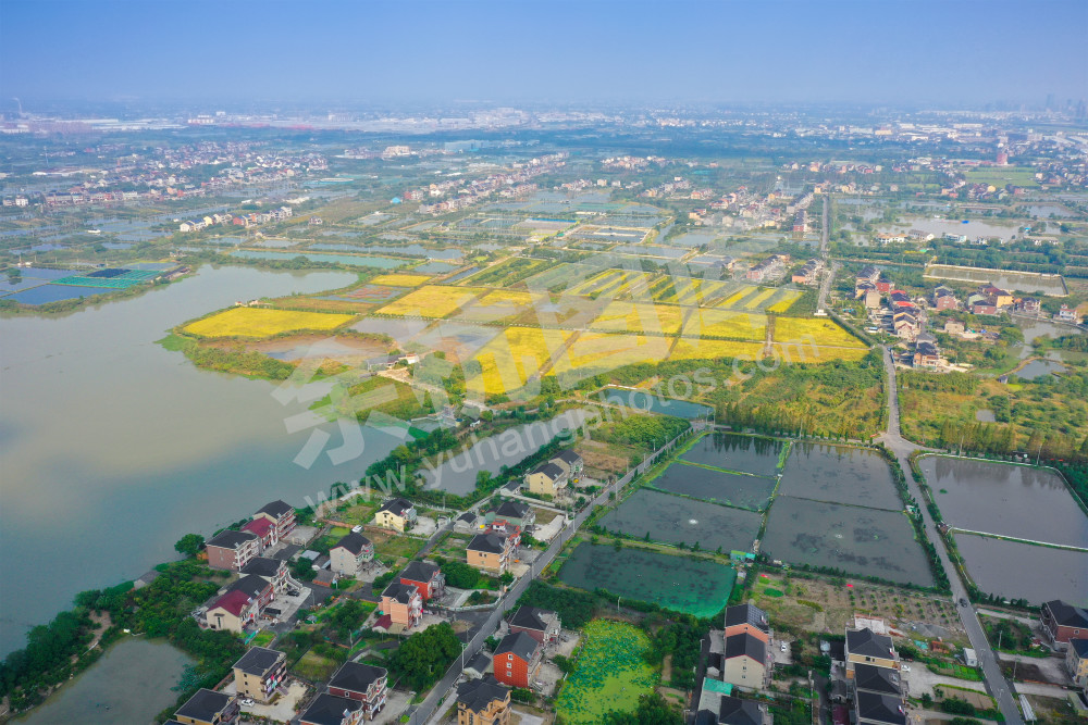 《三白潭湿地》