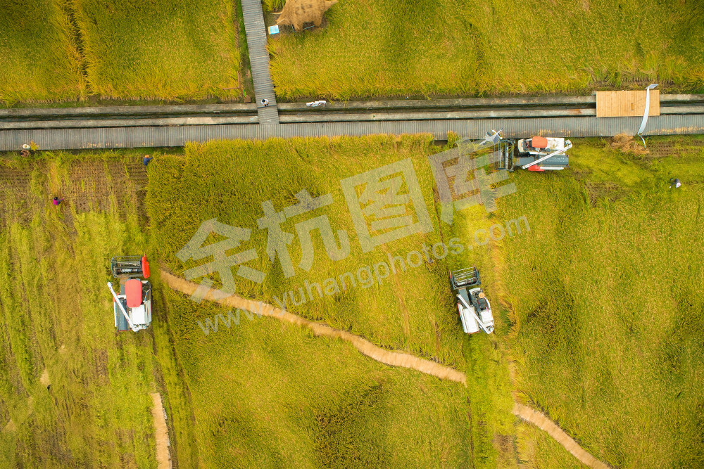 《永安稻香小镇》