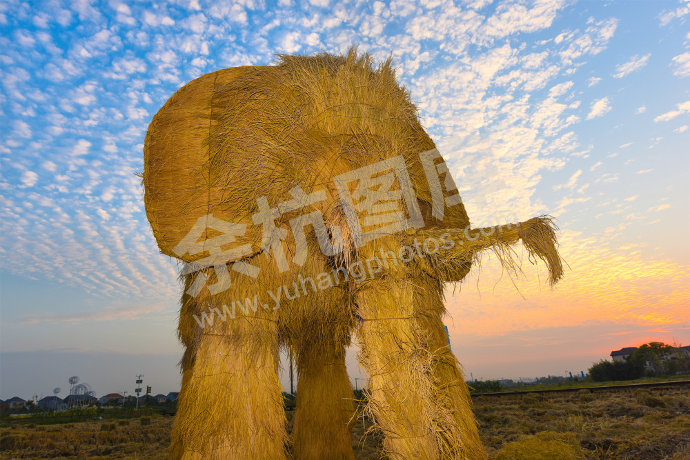 《稻田艺起来》