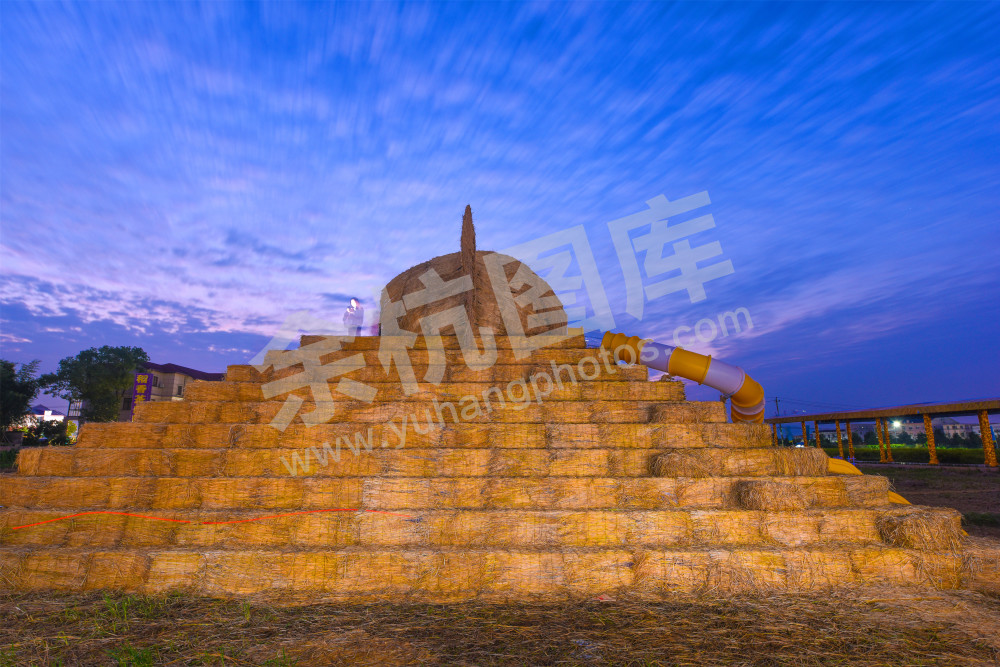 《稻田艺起来》