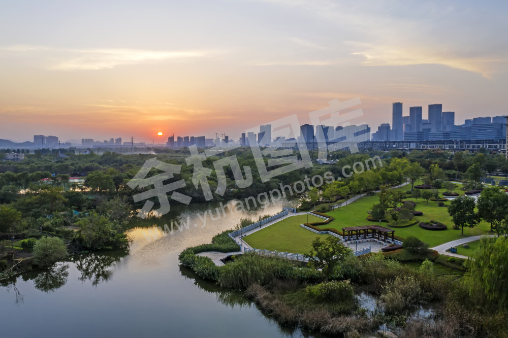 美丽湿地 潘劲草