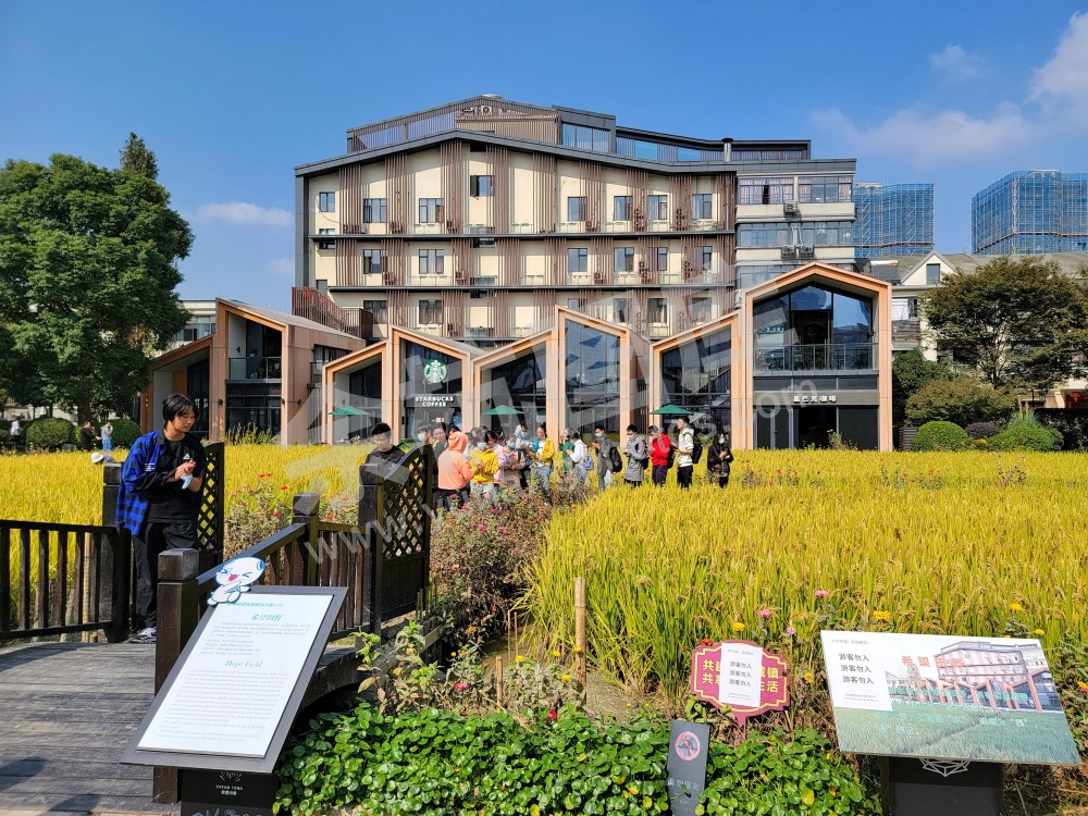 梦想小镇-老师现场教学