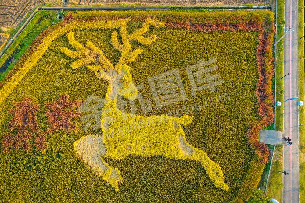 《永安稻香小镇》