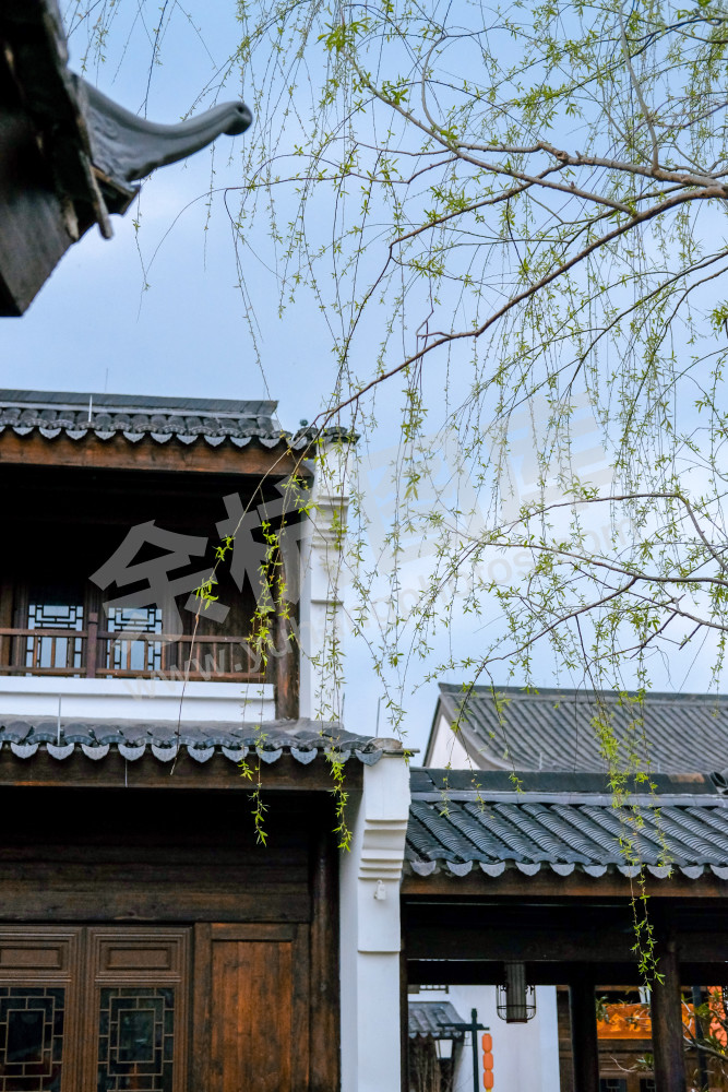 《闲居林下&mdash;老街新景》