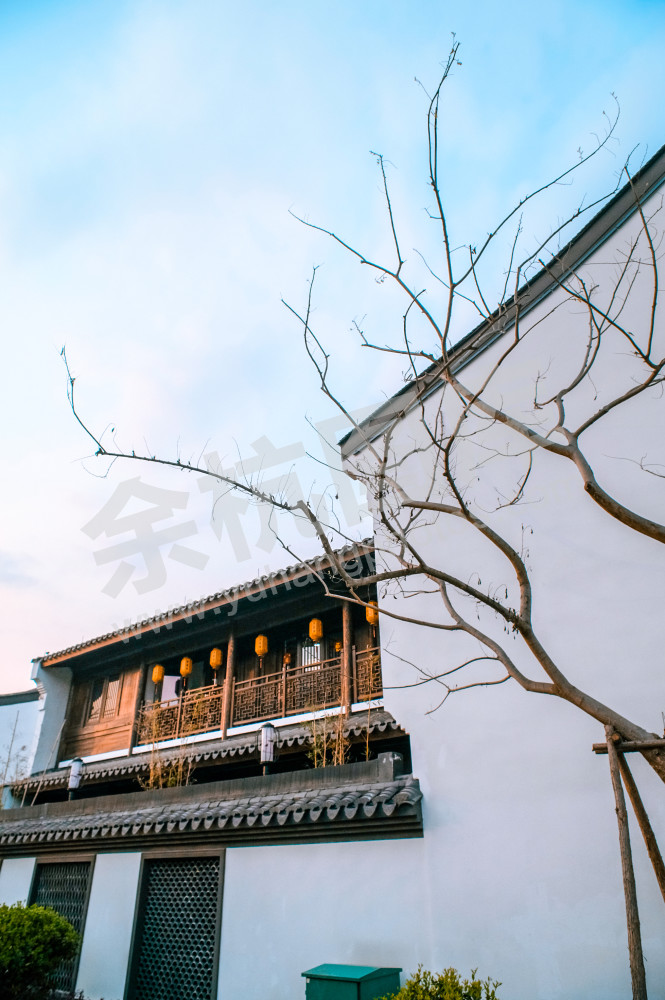 《闲居林下&mdash;老街新景》