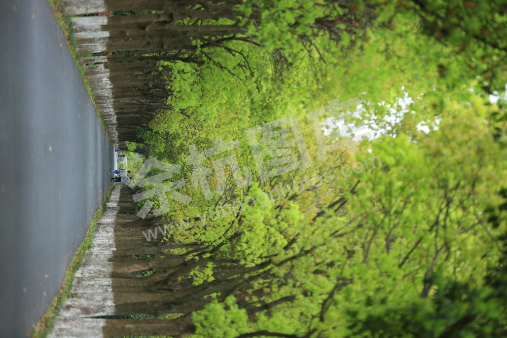 《和你一起走过余杭》