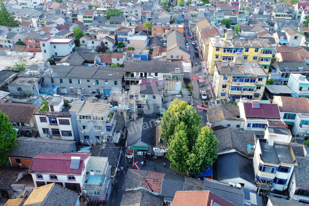 《闲林老街的蜕变》