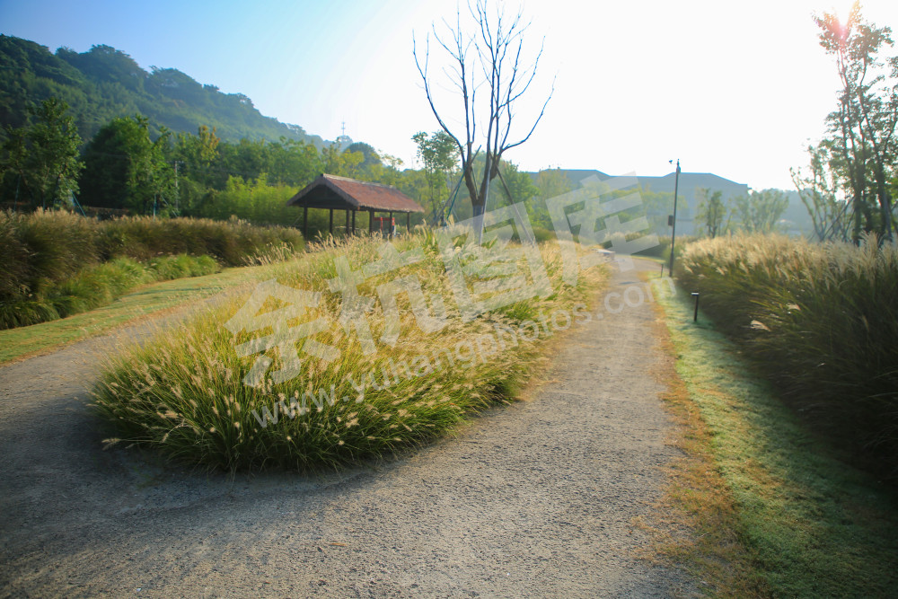 《瑶山遗址公园》