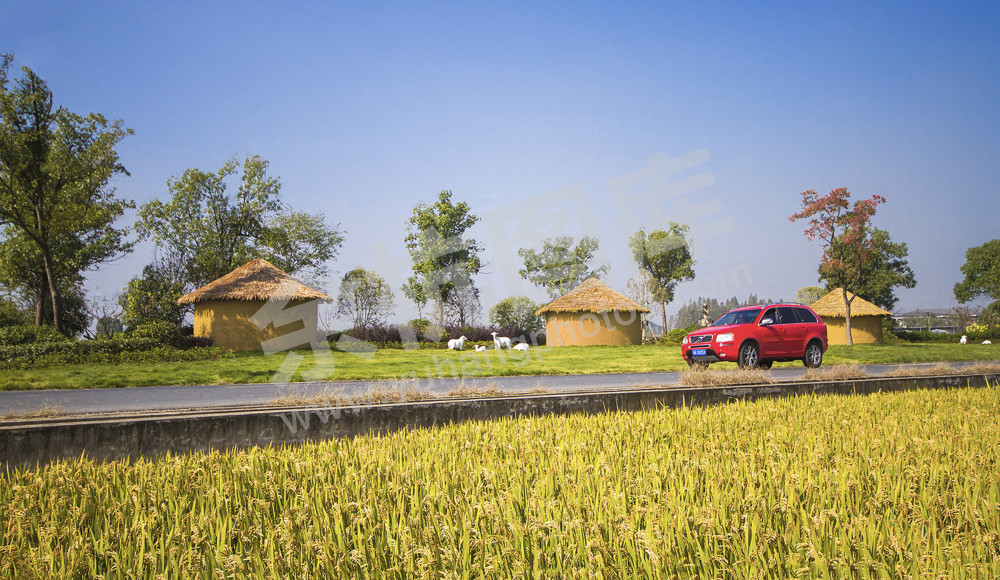 《深耕农旅融合》