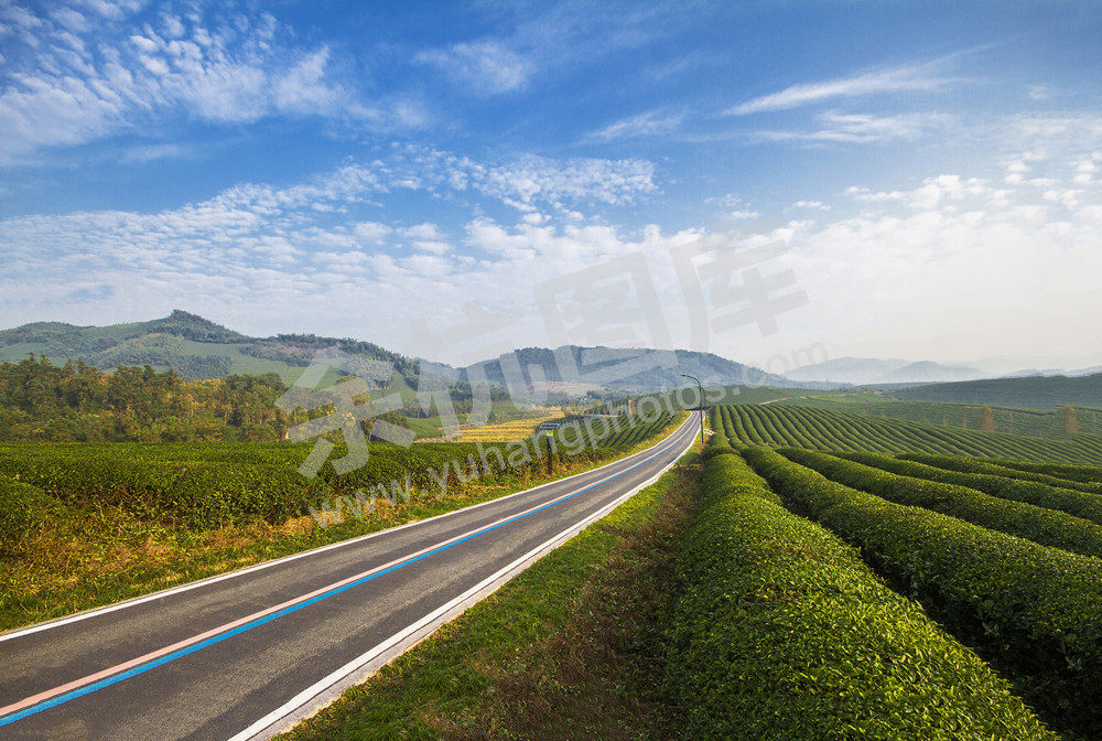 《最美茶园绿道》