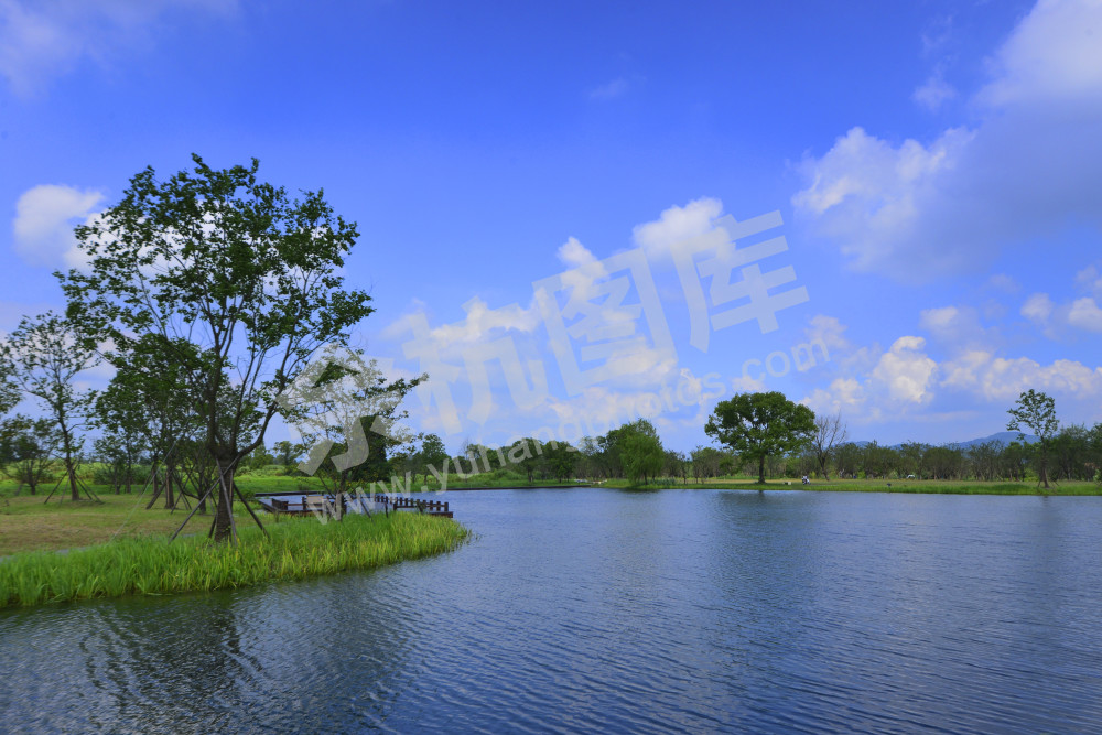 良渚古城遗址樱花湖