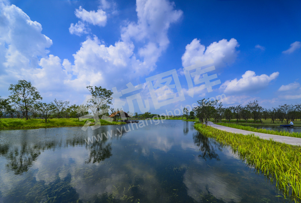 良渚古城遗址樱花湖