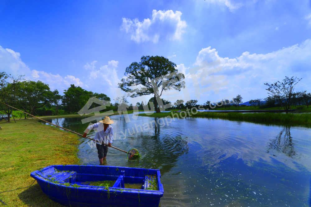 良渚古城遗址樱花湖