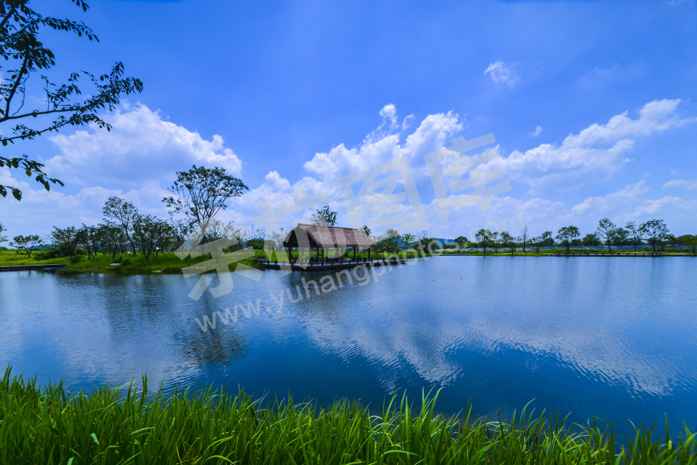 良渚古城遗址樱花湖