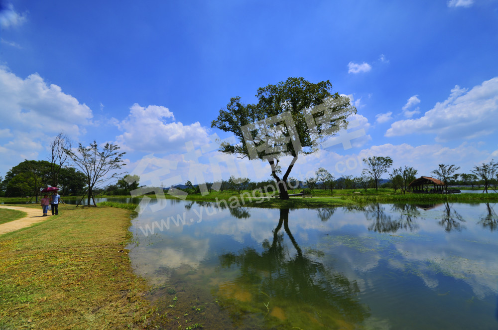 良渚古城遗址樱花湖