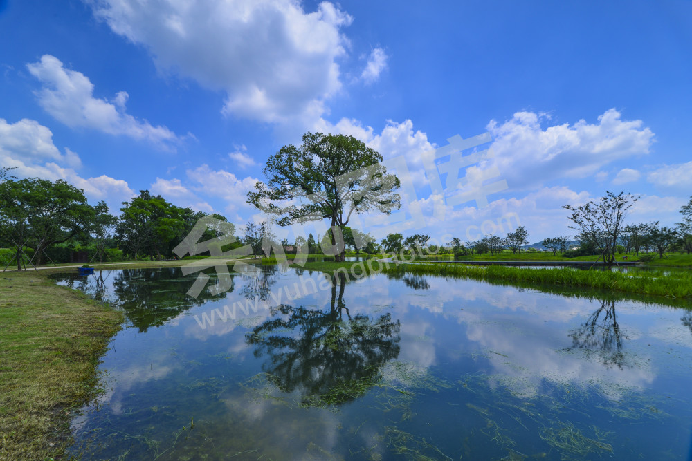 良渚古城遗址樱花湖